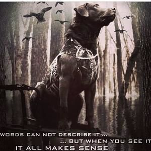 Meet your Posher, Bailey